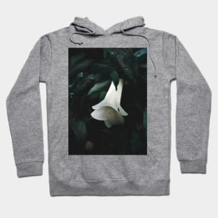 White Copihue Hoodie